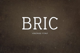 Bric: A Thoughtful Serif for Modern Clarity and Quiet Confidence