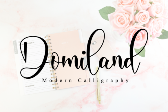 Domiland: Where Elegance Meets Modern Typography