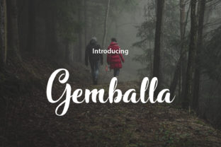 Gemballa: Where Elegance Meets Modern Typography